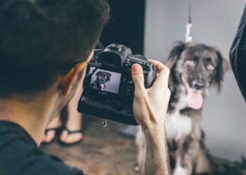 Picking Pet Photographers