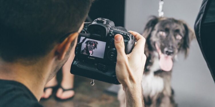 Picking Pet Photographers