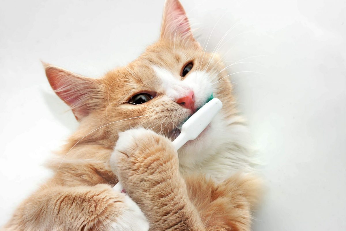 dental problem