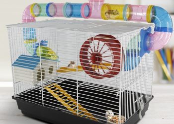 How Can Choose A Hamster Cage?