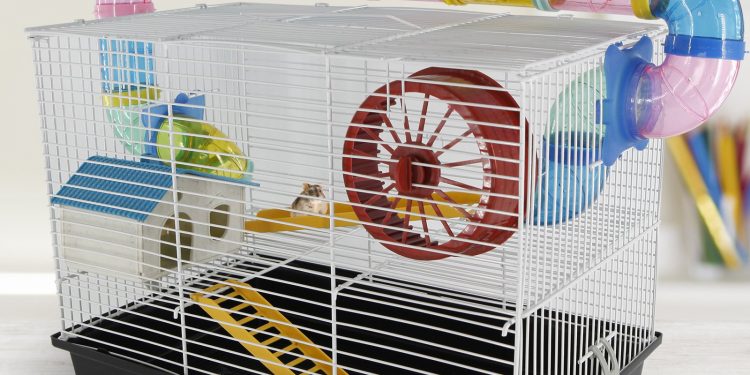 How Can Choose A Hamster Cage? 1