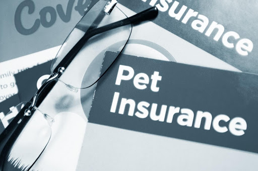 pet insurance plans
