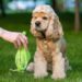 8 Best Dog Poop Bags that Every Dog Owner Must Try Best Dog Poop Bags