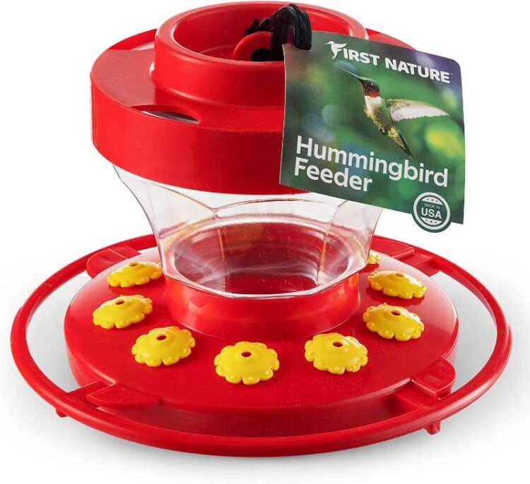 7 Best Hummingbird Feeders Amazon First Nature Hummingbird Feeder