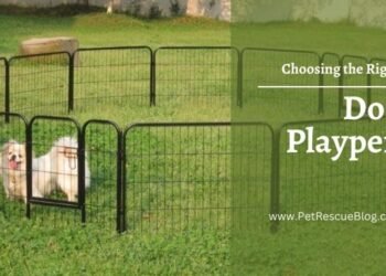Dog Playpen