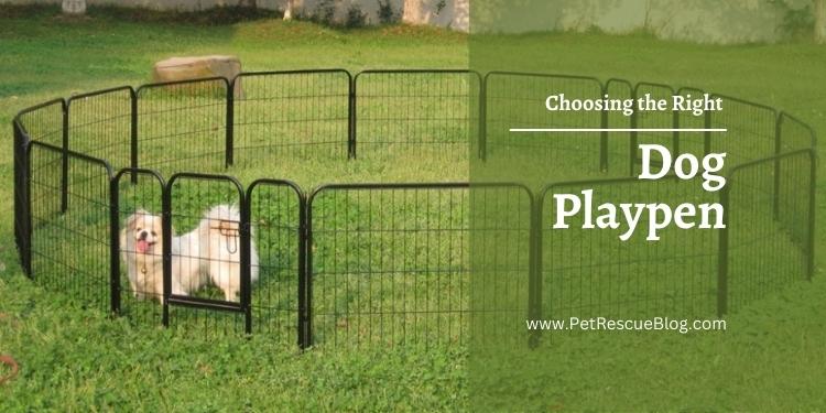 How to Choose the Right Dog Playpen Dog Playpen
