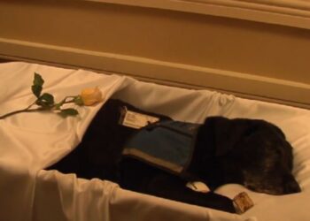 pet funeral