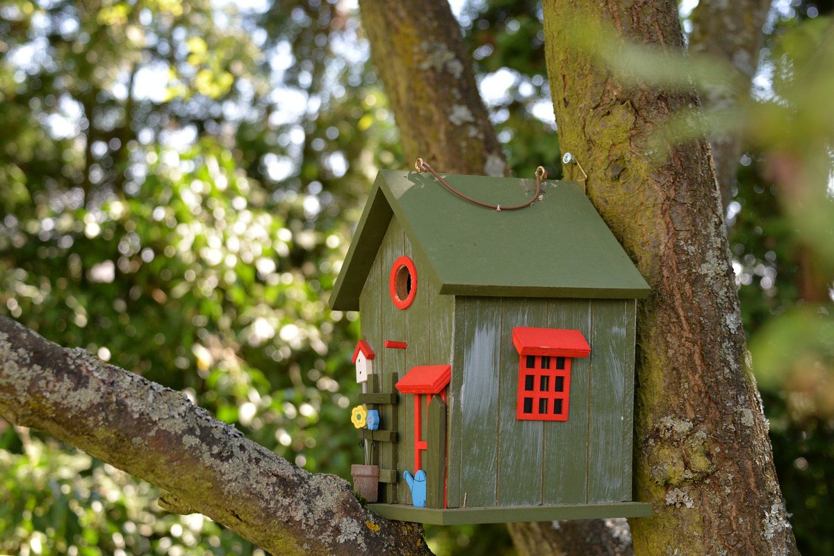 nest box