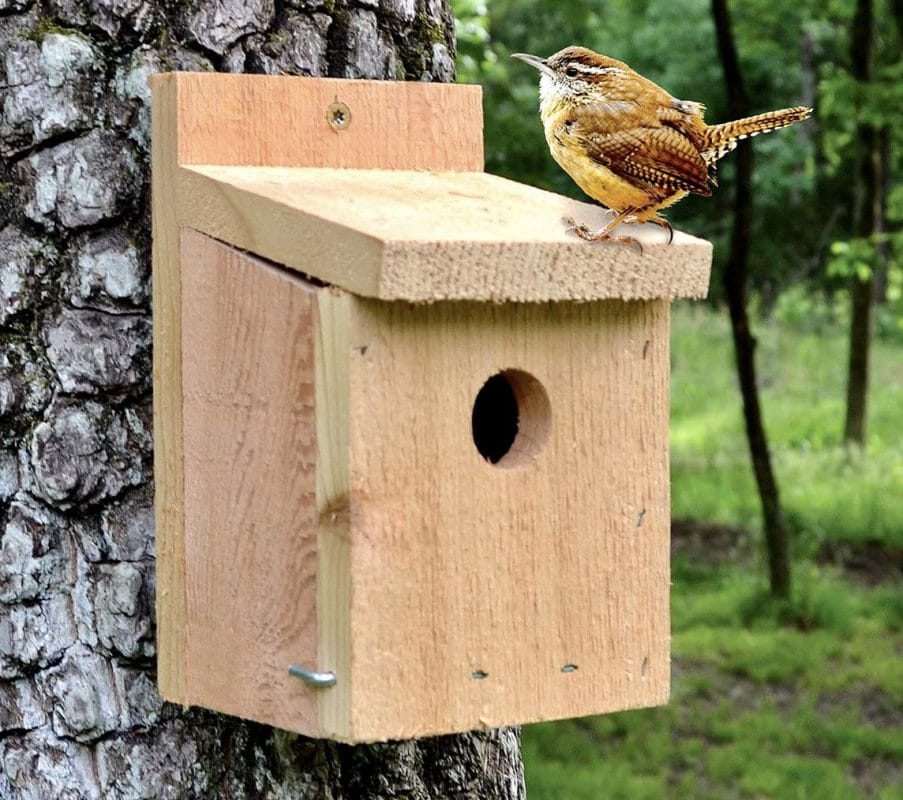 nest box