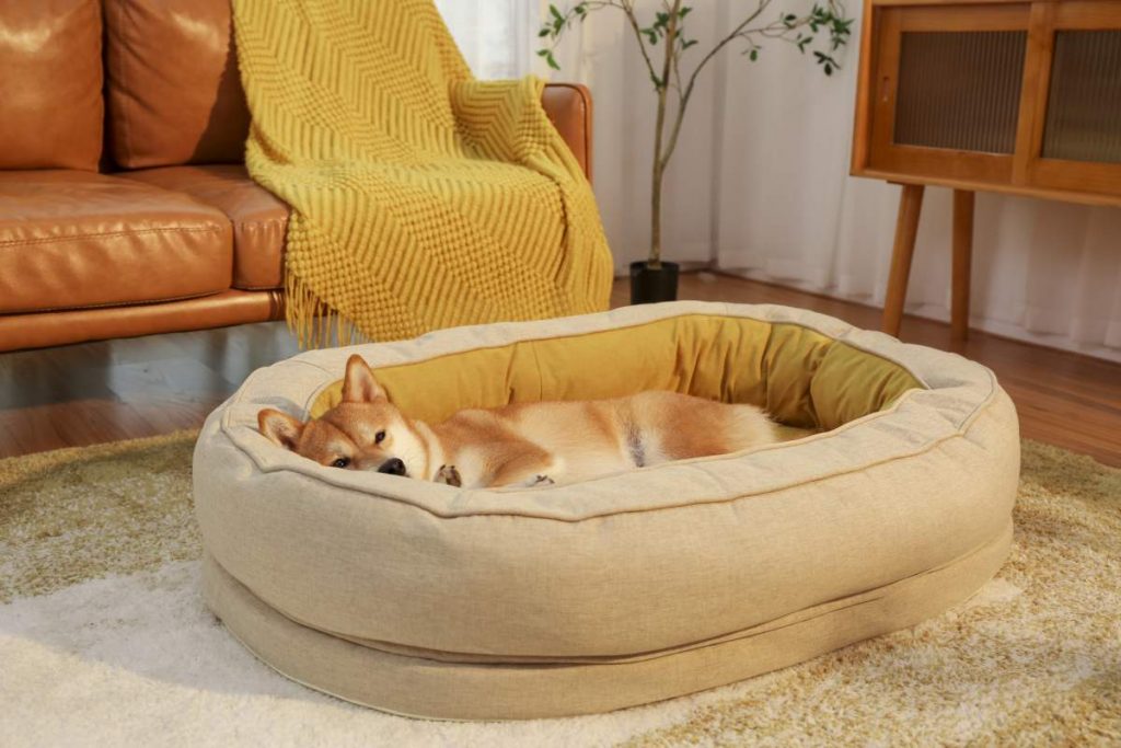 Here's What You Need to Get to Keep Your Dog Warm This Winter donut dog bed