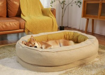 donut dog bed