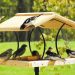 Feeding birds without attracting pests feeding