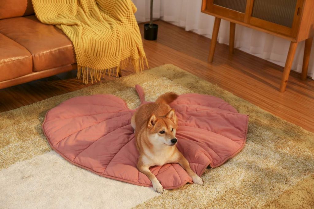 Here's What You Need to Get to Keep Your Dog Warm This Winter leaf shape blanket