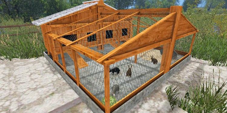 rabbits shelters.