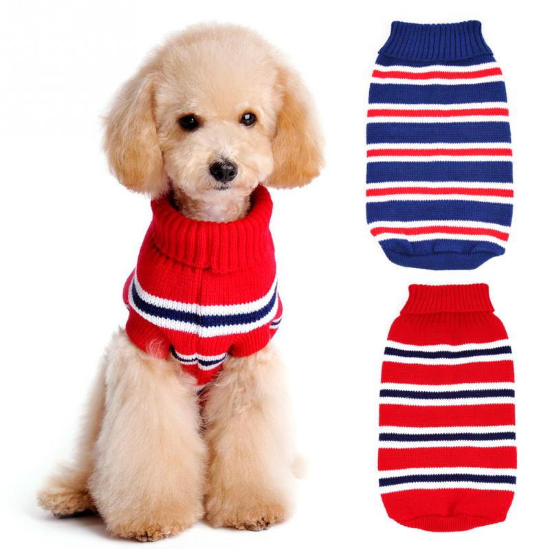 dog clothes 
