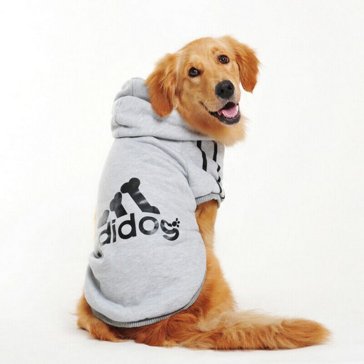 Clothes For Dogs The Quick Guide