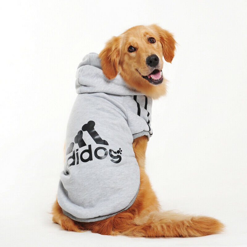 dog clothes 