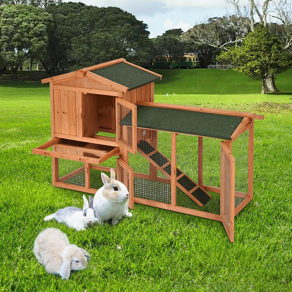 rabbits shelters.