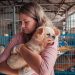 6 Benefits Of Being An Animal Shelter Volunteer Benefits Of Being An Animal Shelter Volunteer