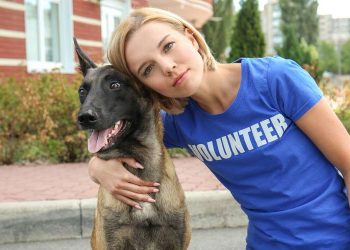 Benefits Of Being An Animal Shelter Volunteer