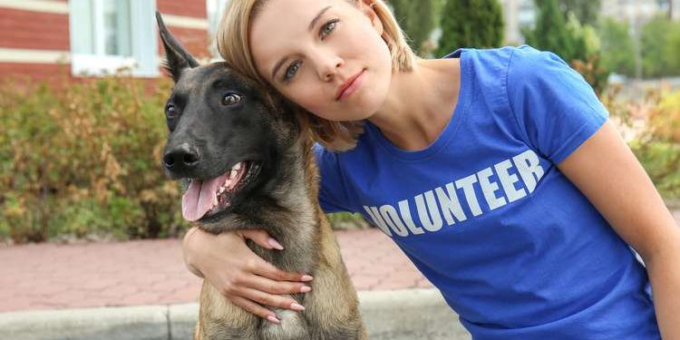 How to Keep Your Dog Fit with Some Easy Training Benefits Of Being An Animal Shelter Volunteer