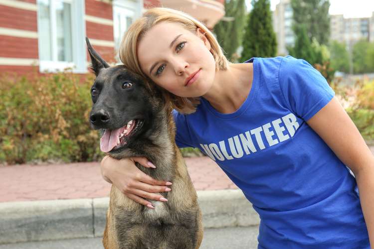 Benefits Of Being An Animal Shelter Volunteer