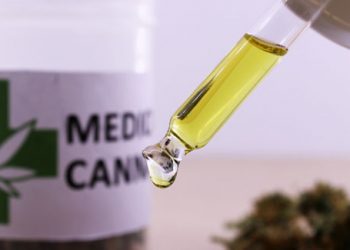 CBD Oil