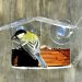 A window feeder for garden birds – get birds close A window feeder