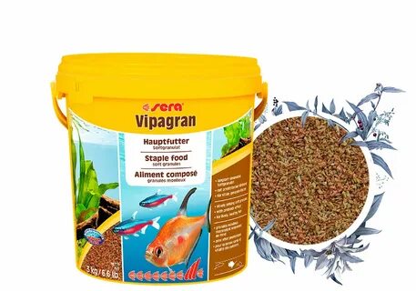 fish food