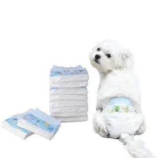 dog diaper