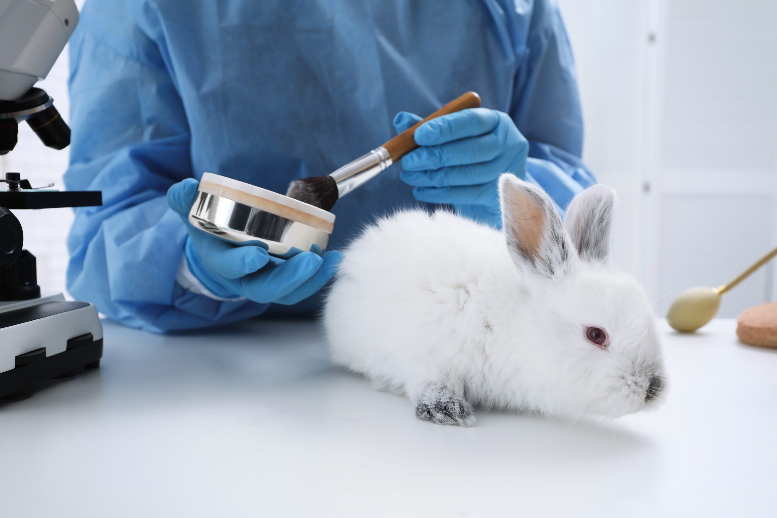 Rabbit vaccinations, very important!