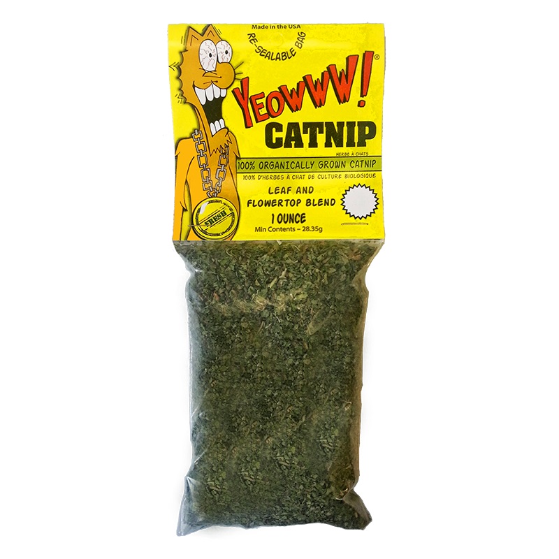 catnip