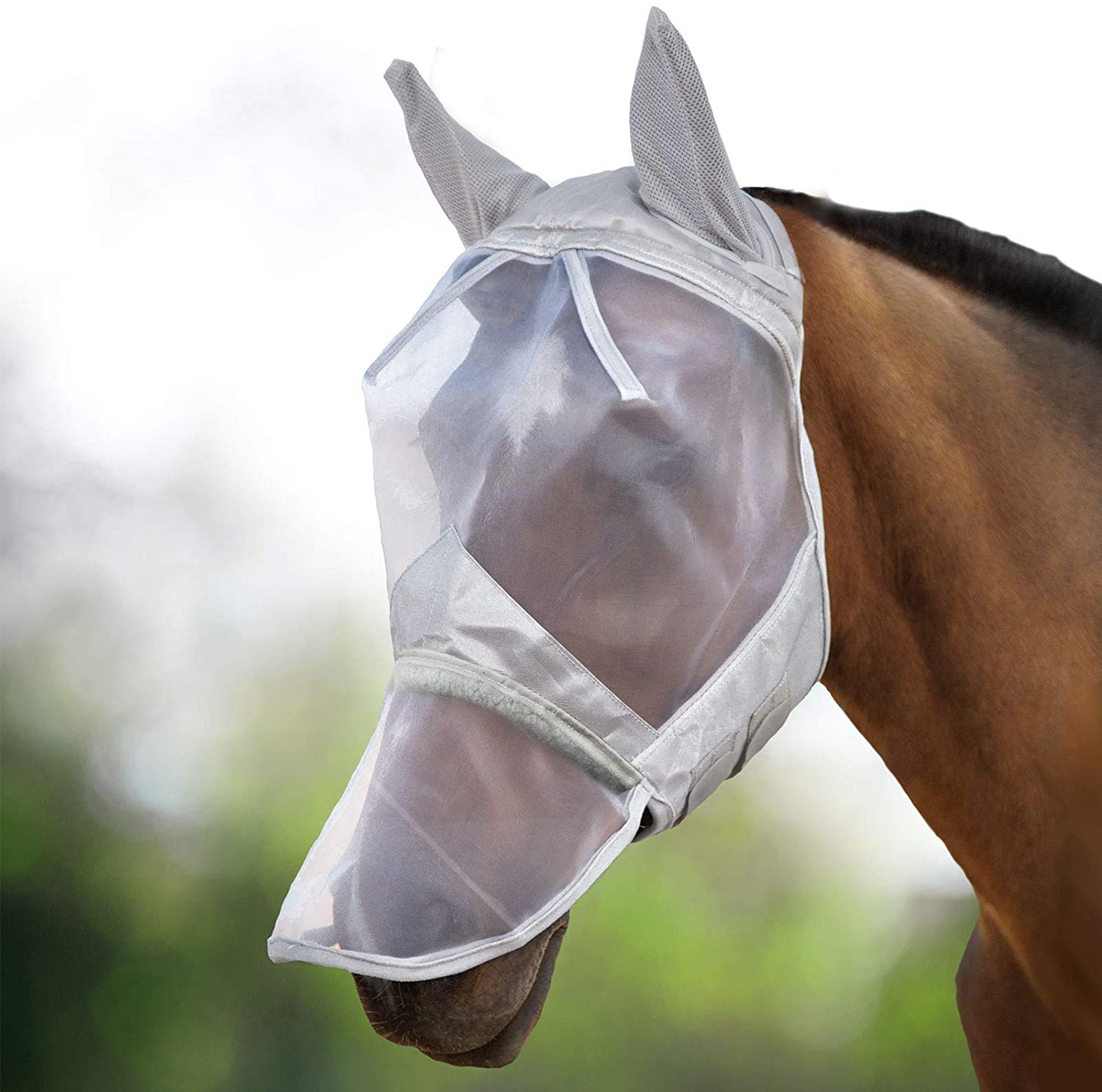 Keep your horses healthy and Protect flys insects in the summer