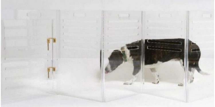 Custom Dog Crate
