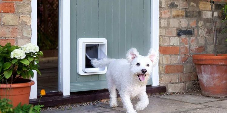 Dog Door
