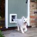 Dog Door