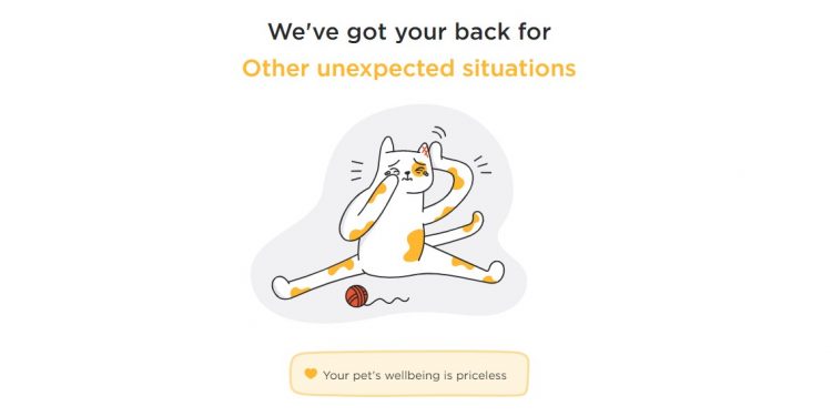 Pet Emergency Fund