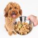 6 Essential Nutrients to Look For in Your Pet’s Dry Dog Food dog and chocolate