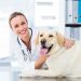 Successful Veterinary Practice