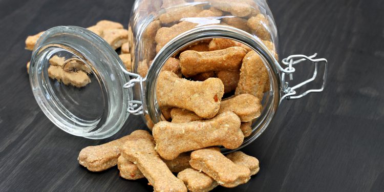 Furry Friend Food