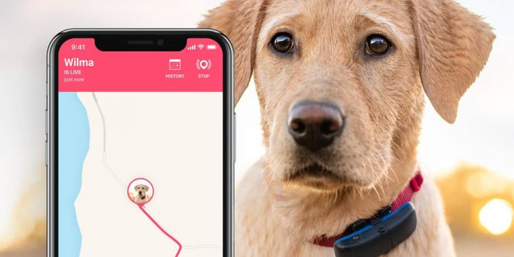GPS tracker