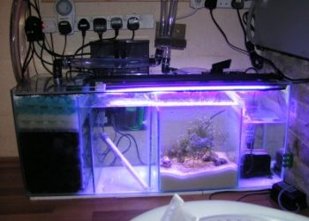 Best Aquarium Filters