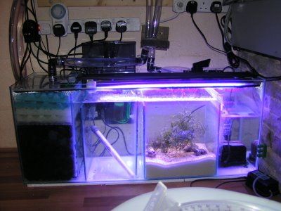 Best Aquarium Filters
