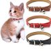 cat collar