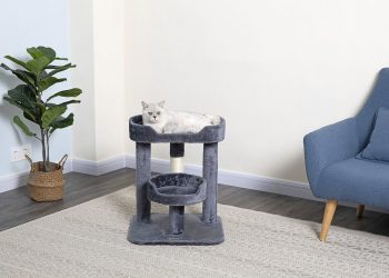 Cat trees to Keep your Pet Entertained