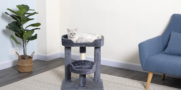 Cat trees to Keep your Pet Entertained