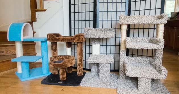 Cat trees to Keep your Pet Entertained