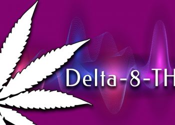 A Guide to Delta 8: Benefits for Animals