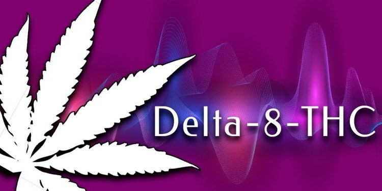 A Guide to Delta 8: Benefits for Animals