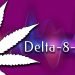 A Guide to Delta 8: Benefits for Animals
